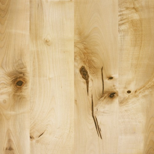 TABOR MAPLE